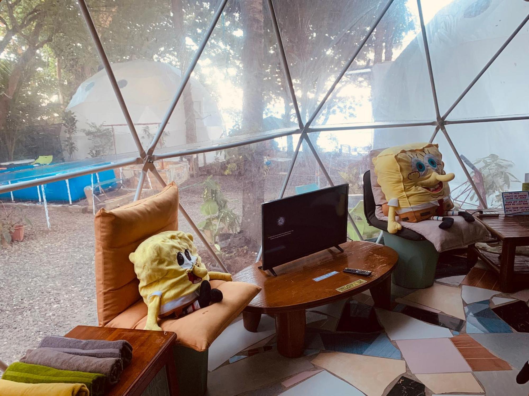 Glamping Dome Dauin Beach Resort Eksteriør billede