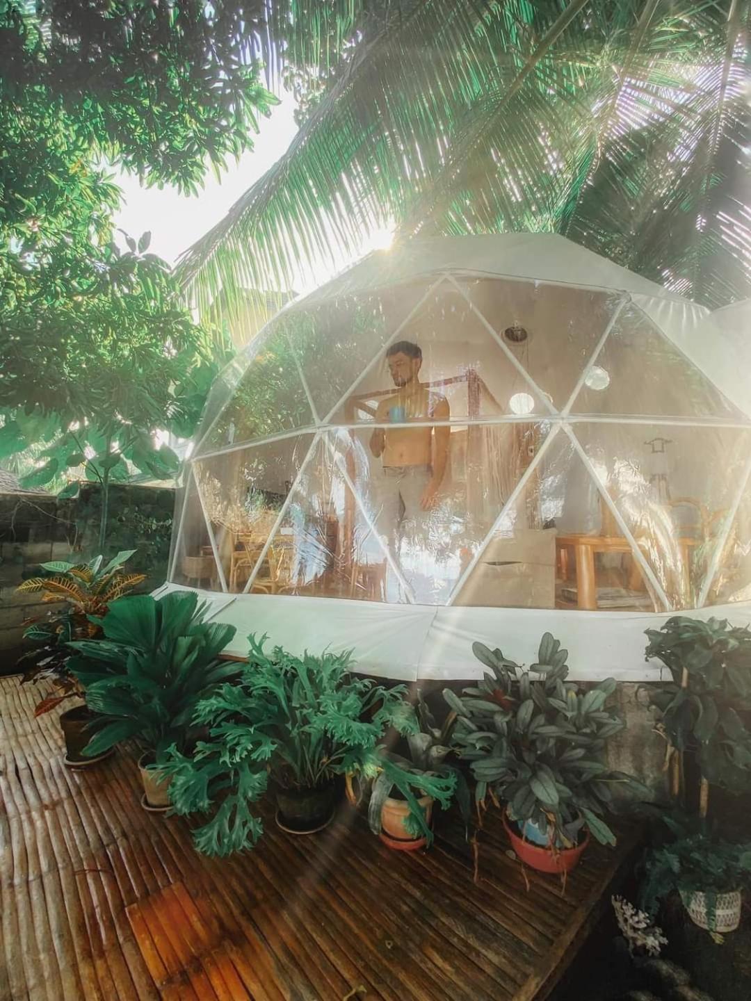 Glamping Dome Dauin Beach Resort Eksteriør billede