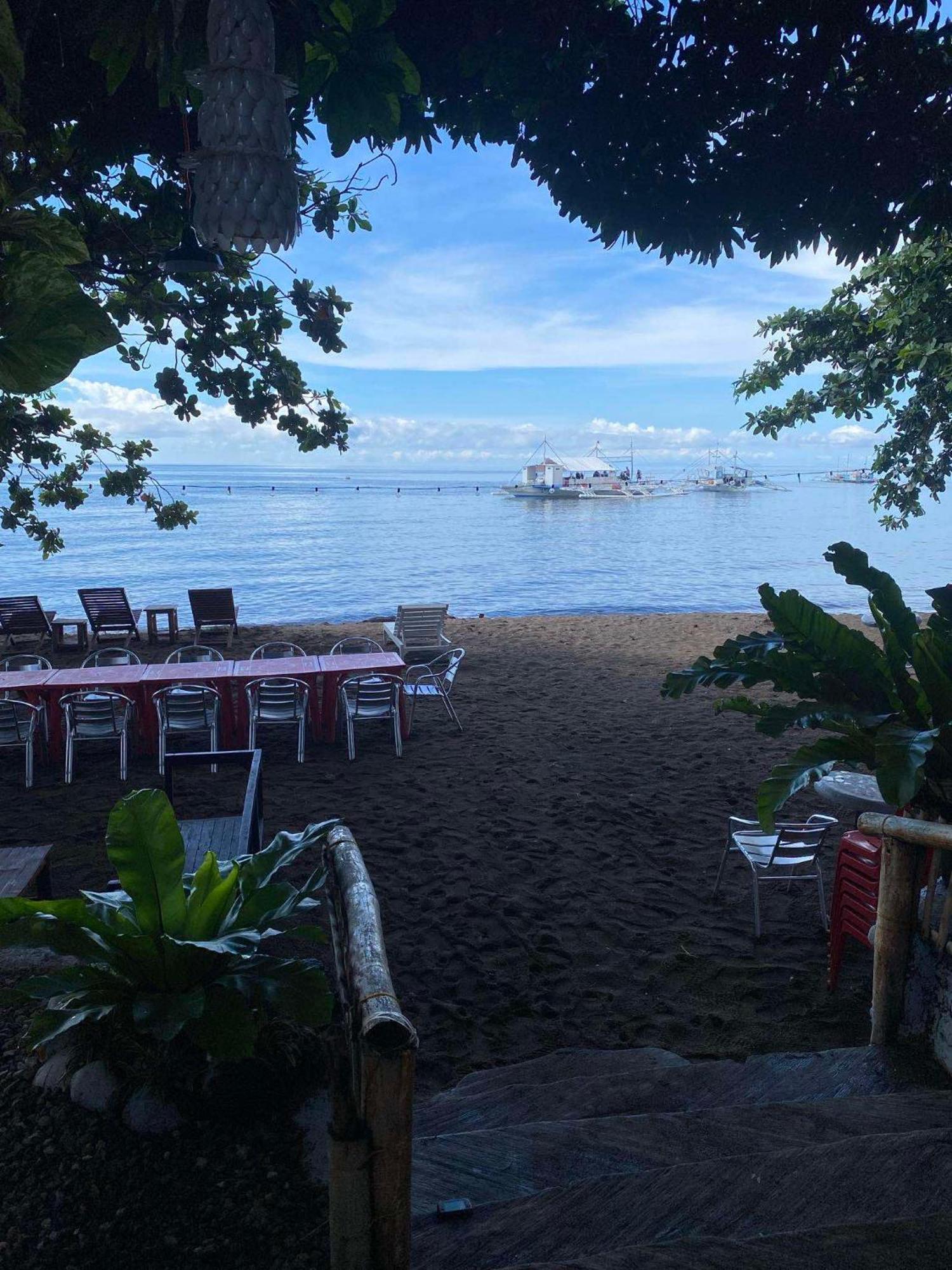Glamping Dome Dauin Beach Resort Eksteriør billede